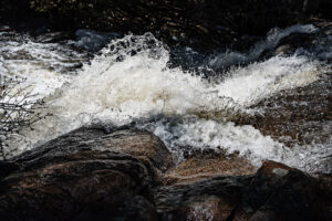 Stream water rushing across rocks.