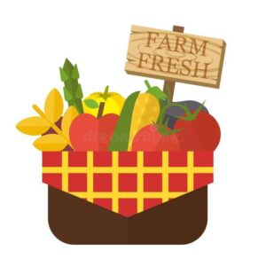 Chapel in the Pines farmers market opens weekly Tuesday, 3pm.  This summer we are also providing local in-person deliveries. This will allow for products to be delivered sooner, not as long of a wait. Click here: https://mtableco.com to browse our items.